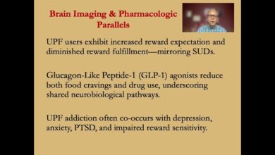Neurobiology and Drug Policy
