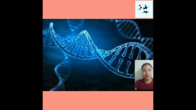 Nutritional Biochemistry and Dietary Research